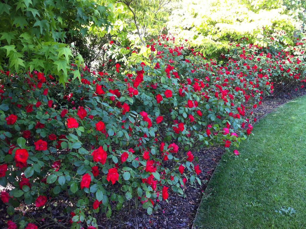 Relais Villa Annamaria Bed End Breakfast Istrana Esterno foto